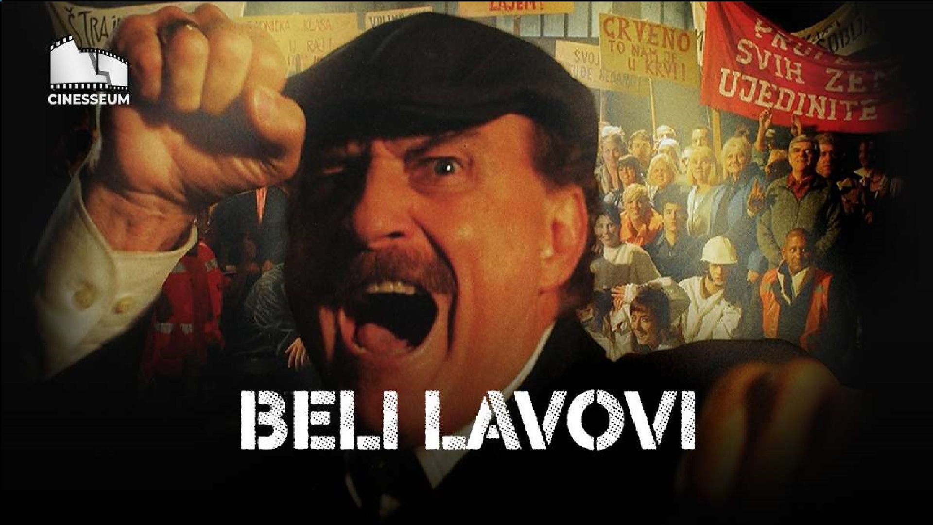 Beli Lavovi