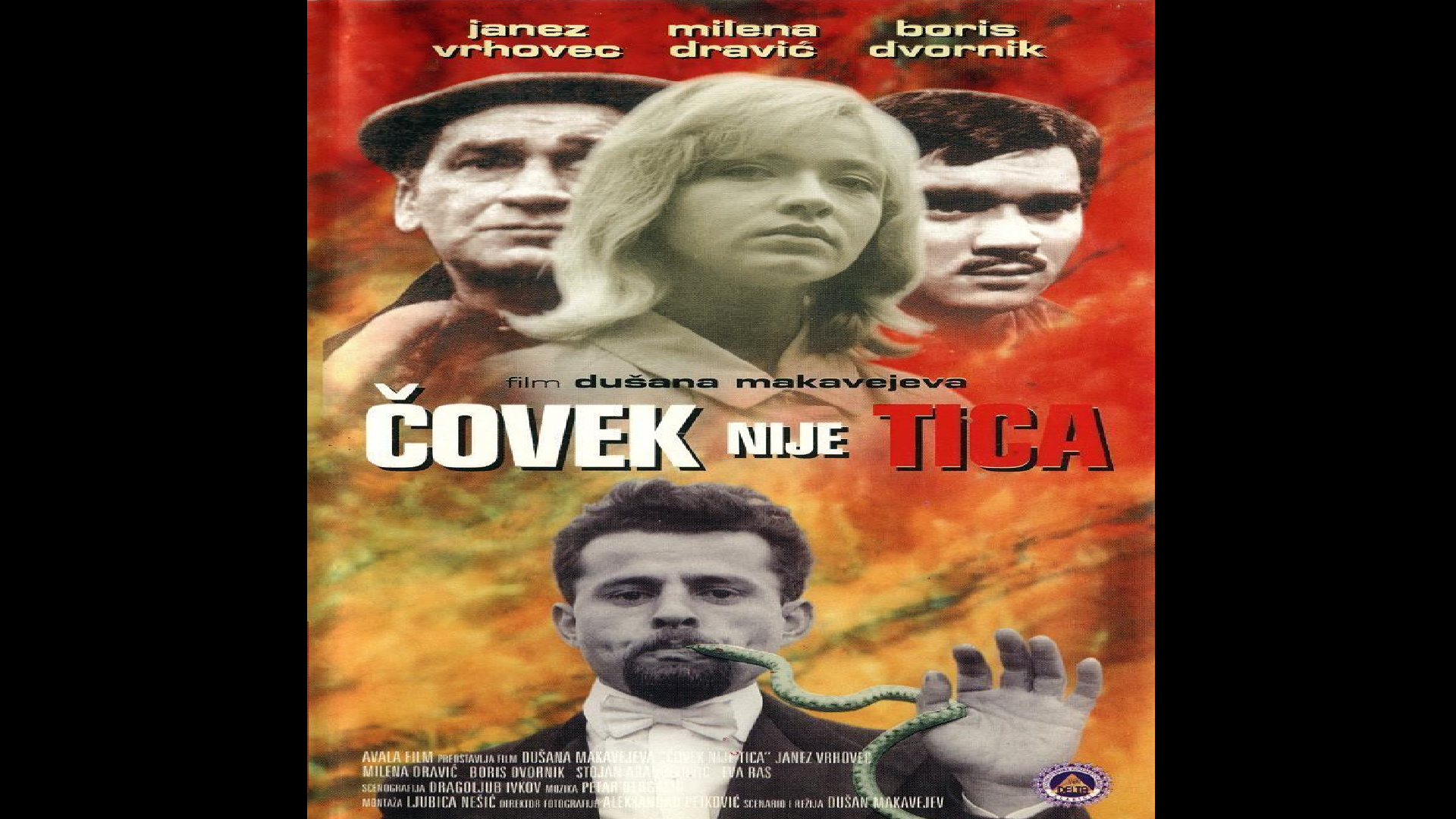 Ćovek nije tica