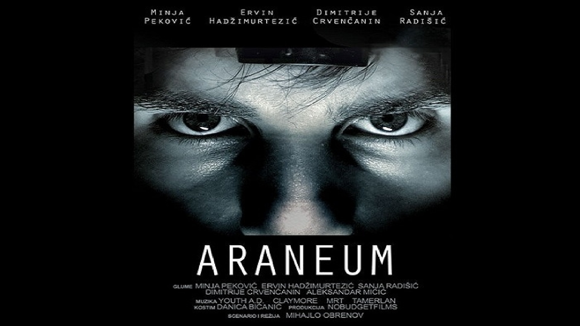 Araneum