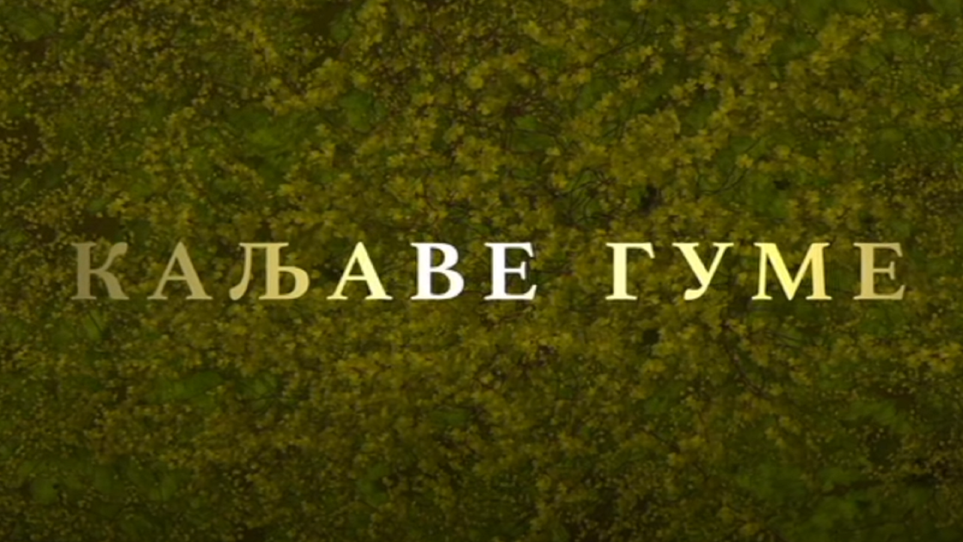 Kaljave Gume 2021 TV Serija